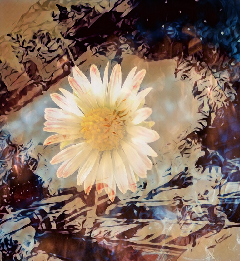 1543026641634 (1).jpeg