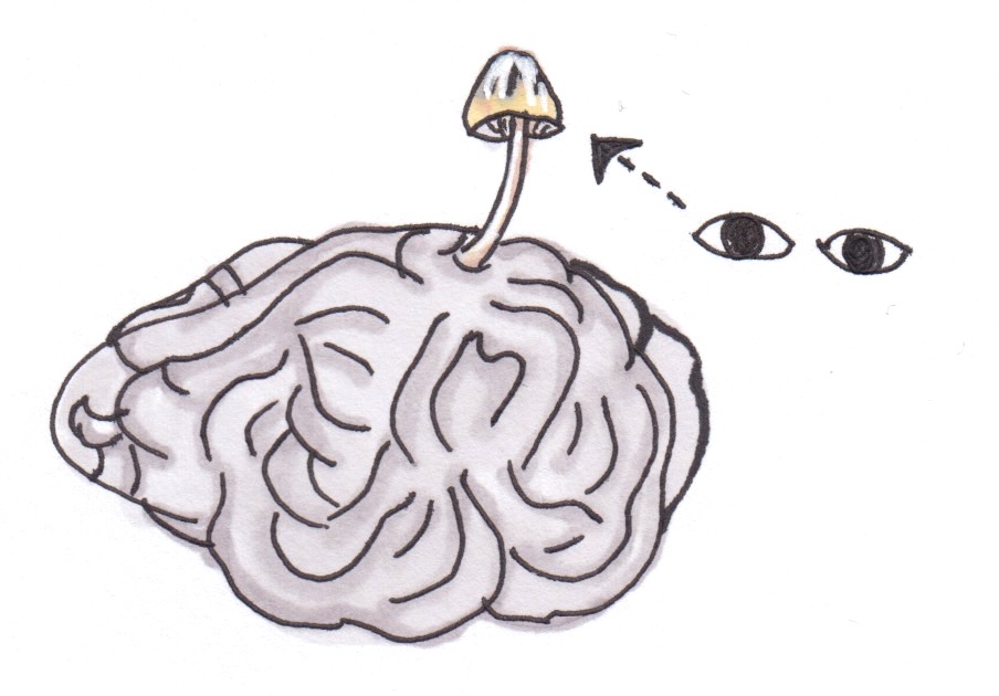 how to tell stories to children.jpeg