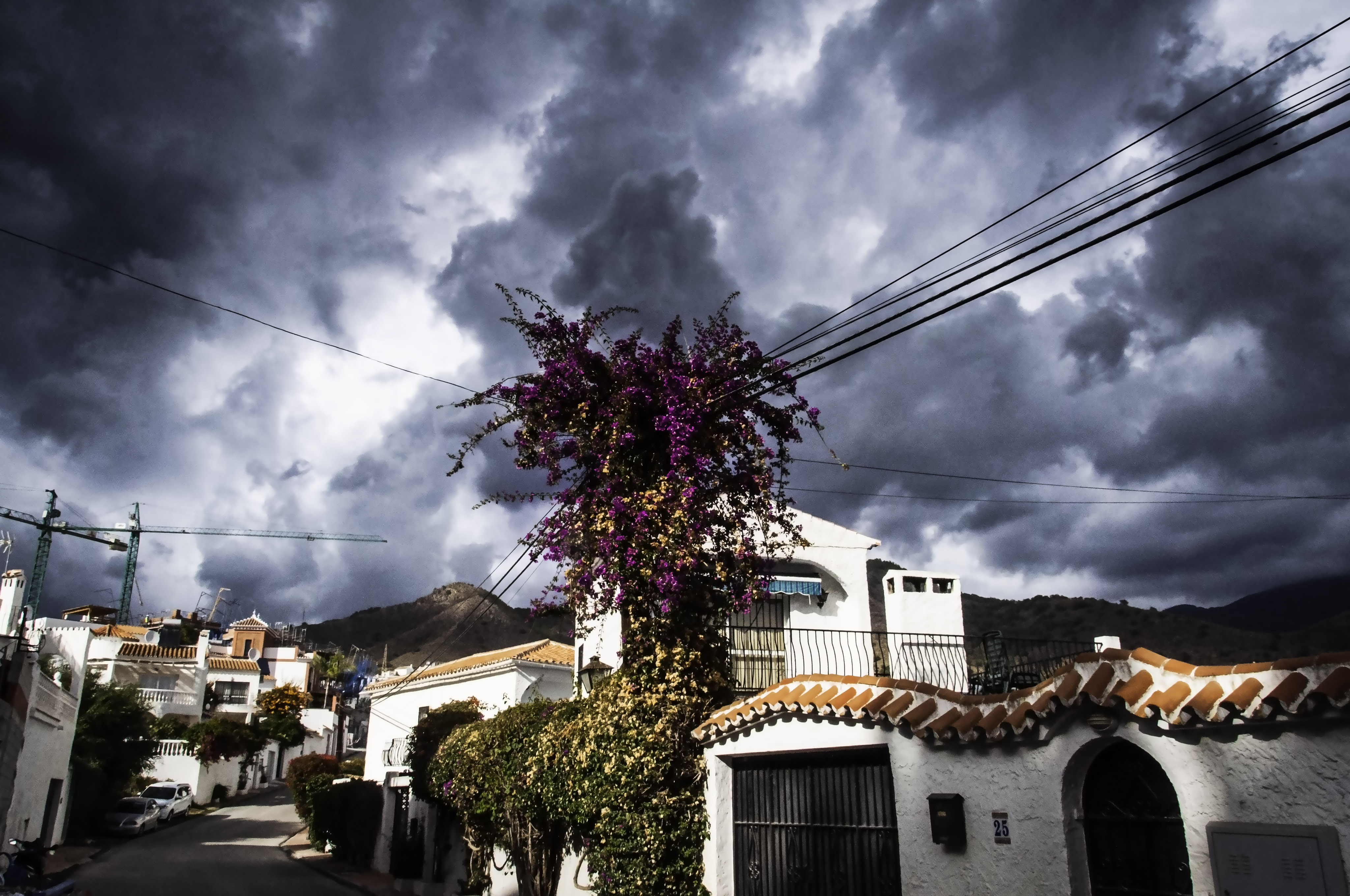 49500484651_4d4933bb94_o