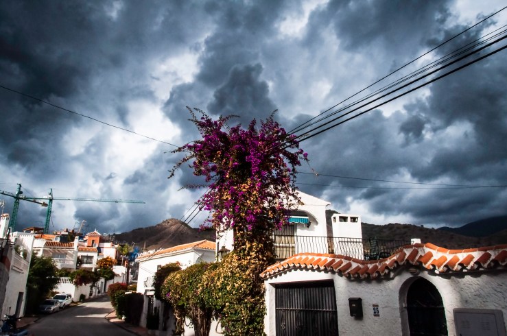 49500484651_4d4933bb94_o